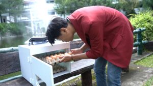 Wujudkan Ketahanan Pangan Mahasiswa Umm Ciptakan Penetas Telur&hellip;