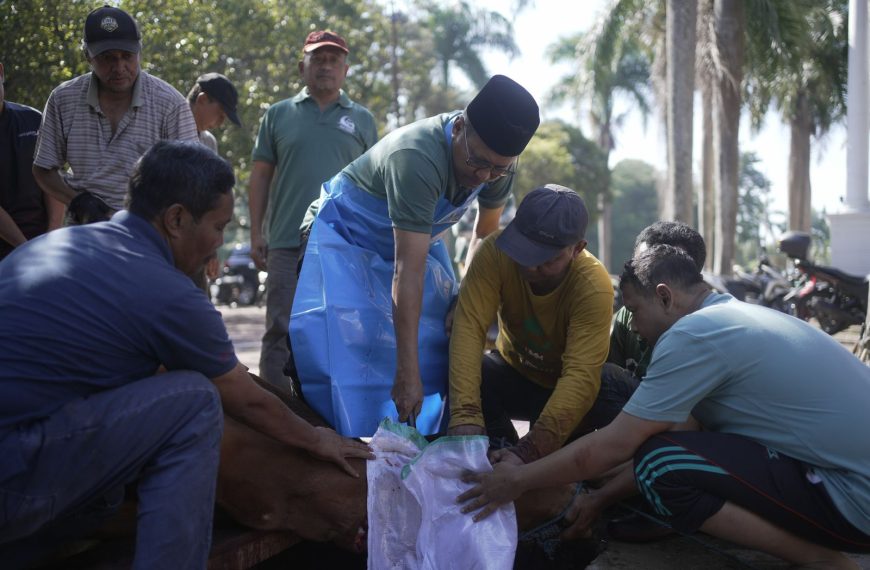 Dalam 5 Tahun, UMM Konsisten Laksanakan Green and Halal Kurban