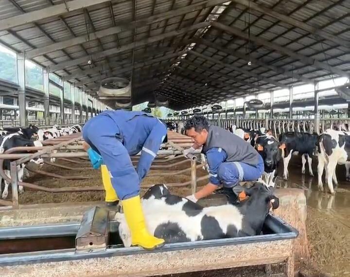 Tembus Standar Industri Raksasa, Mahasiswa&hellip;